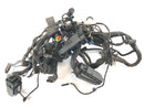 BMW F 800 ST [2006] - Kabelbaum-1