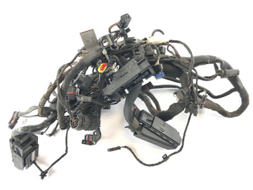 BMW F 800 ST [2006] - Kabelbaum