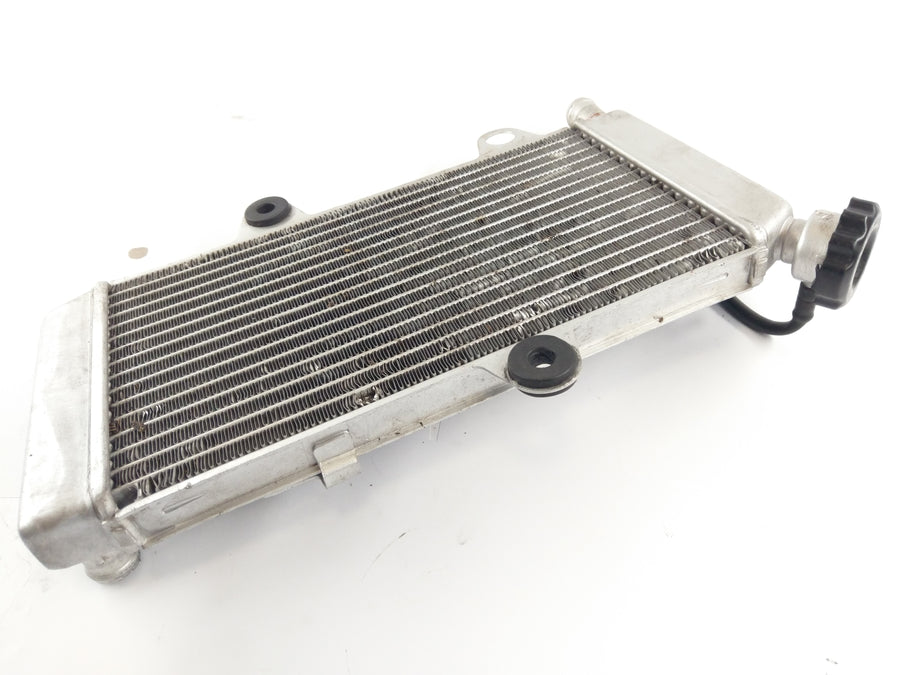 Yamaha XT 660 X DM01 [2006] - Cooler Cool Water