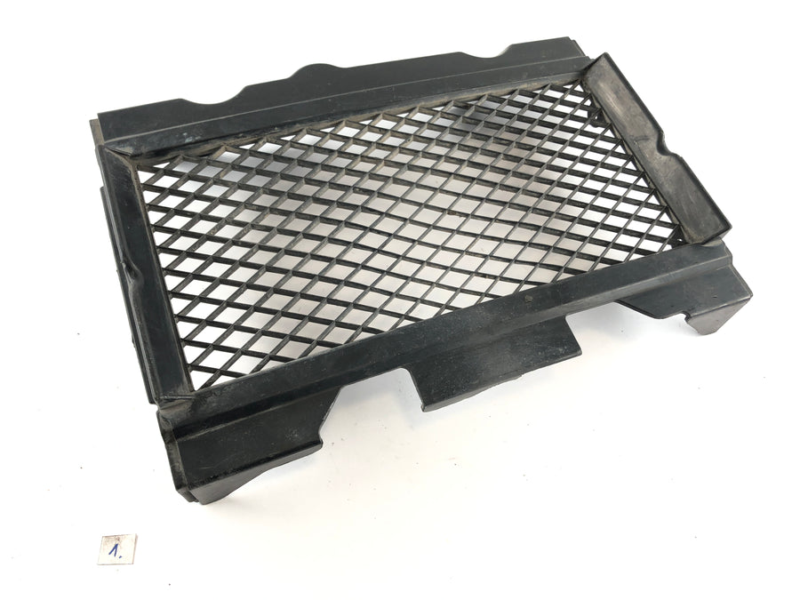 Honda NS 400 R NC19 [1985] - Grille di raffreddamento